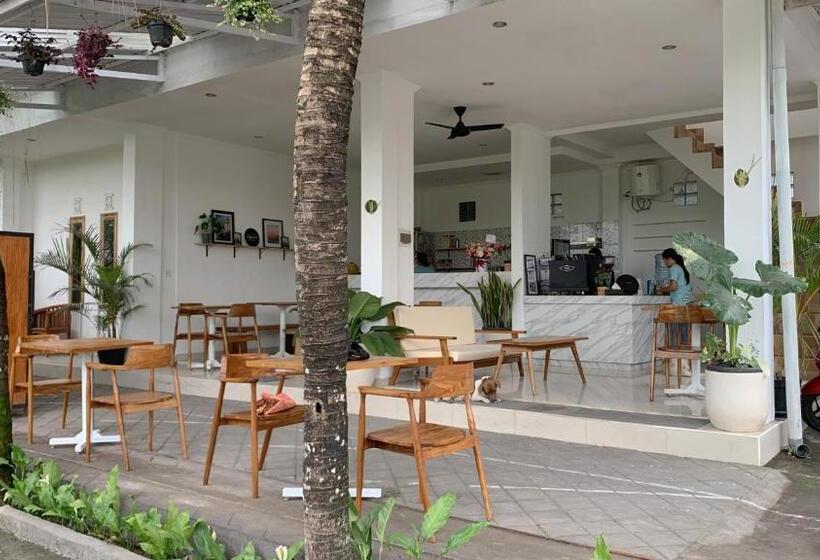 פנסיון Kenan Cottage