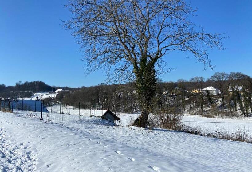 بنسيون L’aile Droite Du Château
