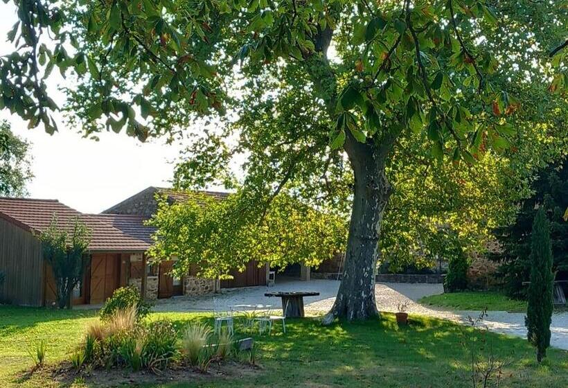 膳宿费 Le Clos De Ceintres