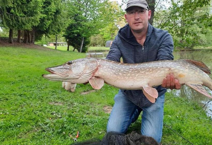 膳宿费 Le Moulin D Harcy