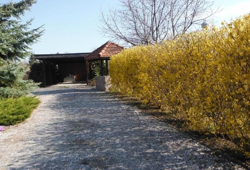 פנסיון Levendula Vendégház