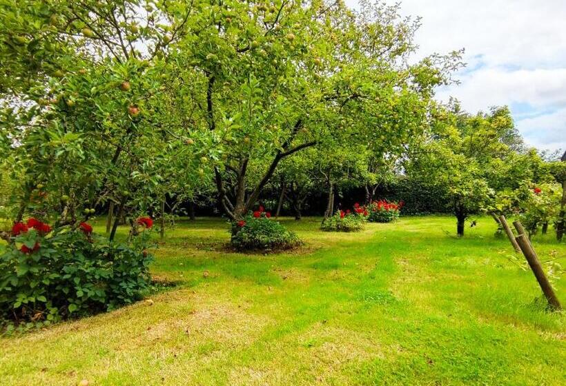 Пансион Au Cheval Blanc