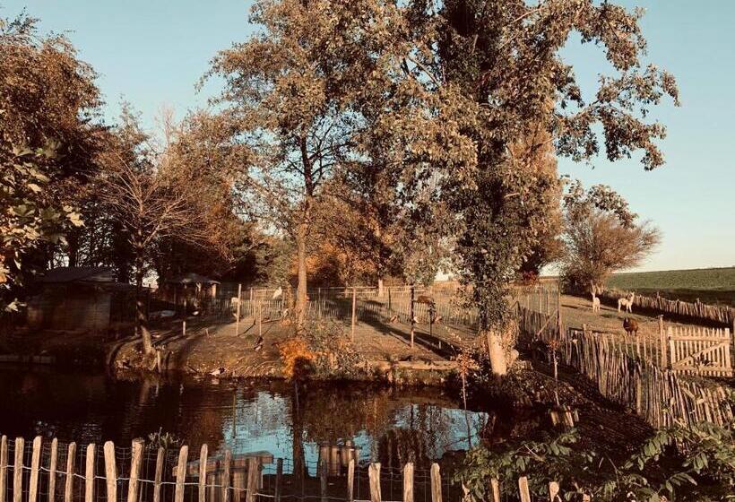 ペンション Mmghome Gîte à La Ferme