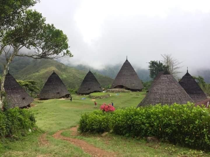 ペンション Oyo Cheapest Lodge & Kelimutukomodo Tour