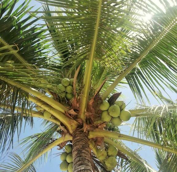 펜션 Pacific View Dalaguete