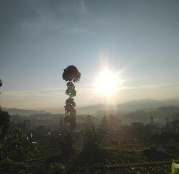 Пансион Penginapan Atau Kontrakan Rumah Ciwidey 1 Ruangan 2 Kasur Dewasa Kamar Mandi Dapur Dalam Sewa Harian