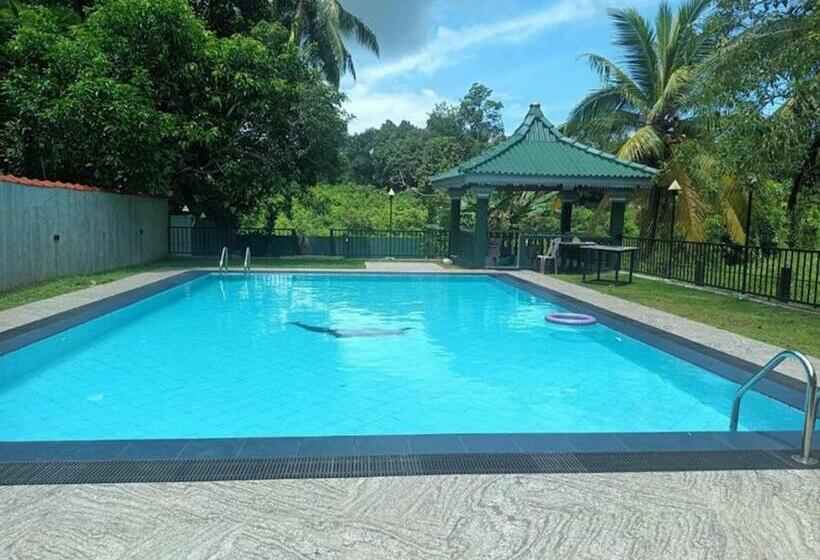 ペンション Room In Bb  Suma Villa 240 Bentara Uragaha Elpitiya Rd Bentota 1