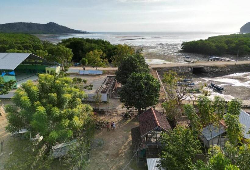 펜션 Sollo Sollo Homestay