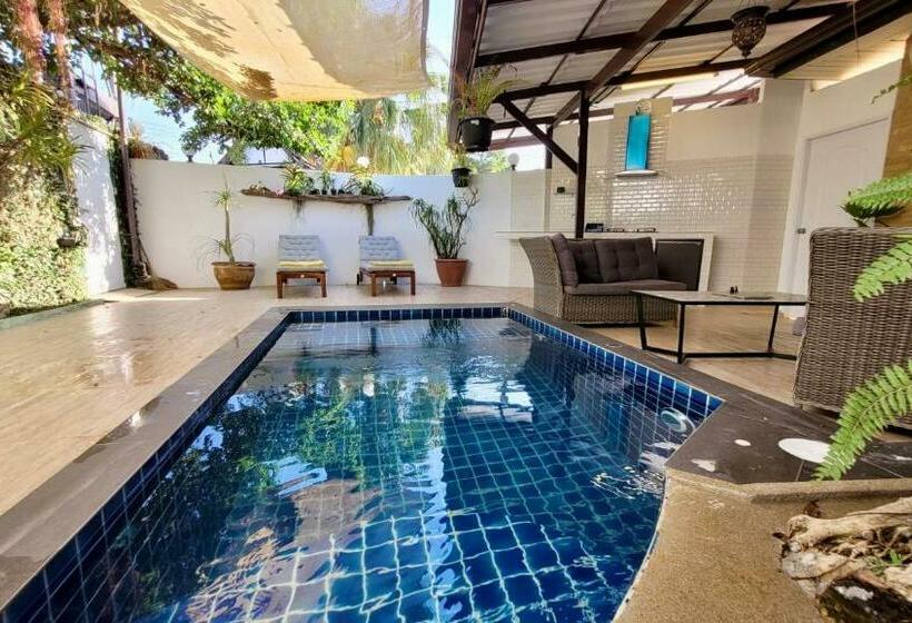 بنسيون Sunshine Guesthouse And Diving School