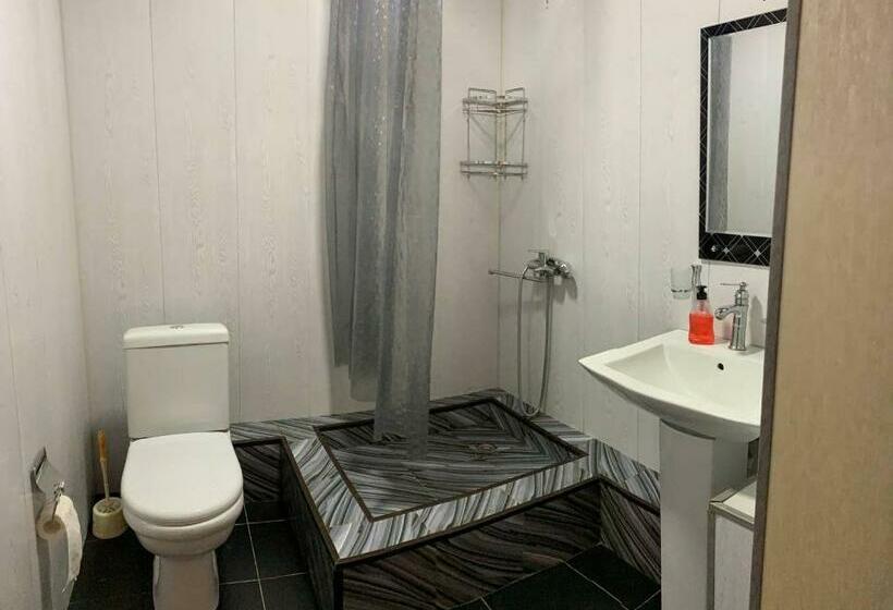 بنسيون Turkistan