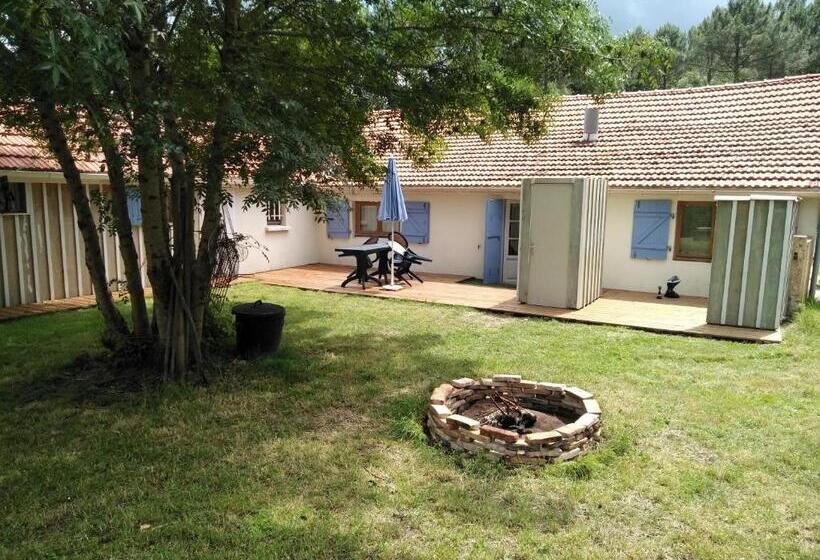 بنسيون Zenzela Surf House