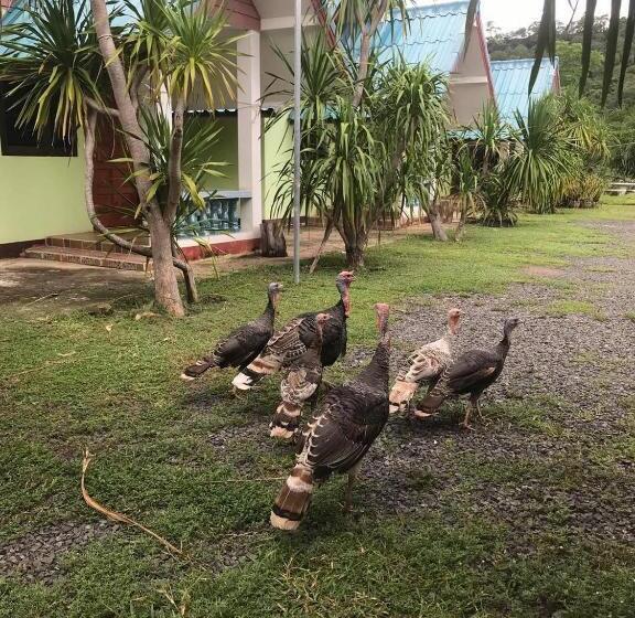 Resort บ้านภูเคียงน้ำรีสอร์ท ที่พักใกล้วัดเรืองแสง