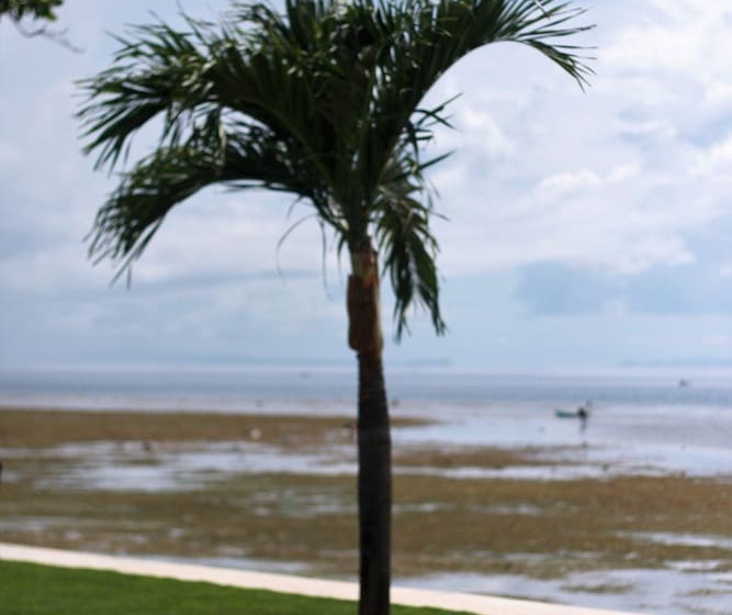 리조트 The Beachhouse