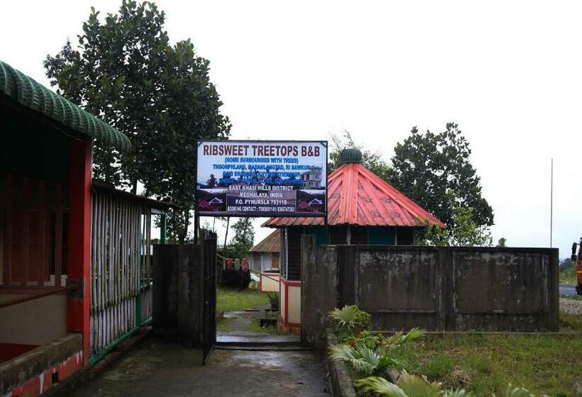 Stay Inn Ribsweet Treetop B&b