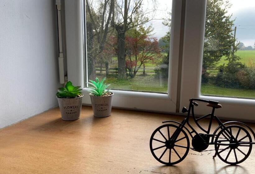 Welcoming And Peaceful Bed And Breakfast