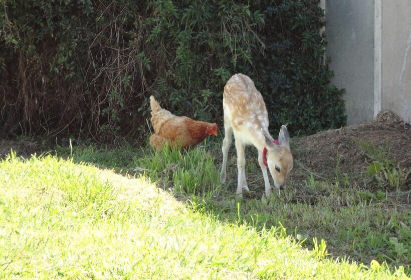 42b College House   Hostel