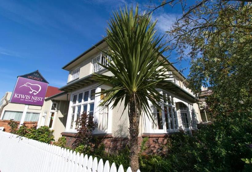 Kiwis Nest Hostel