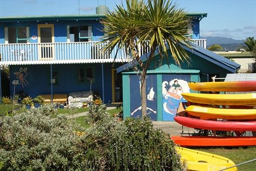 فندق صغير On the Beach Backpackers Lodge