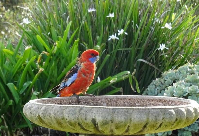 Austiny Bed And Breakfast Victor Harbor