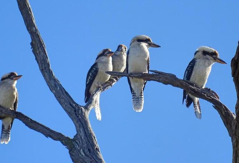Austiny Bed And Breakfast Victor Harbor
