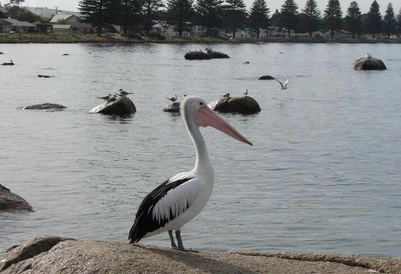 Austiny Bed And Breakfast Victor Harbor