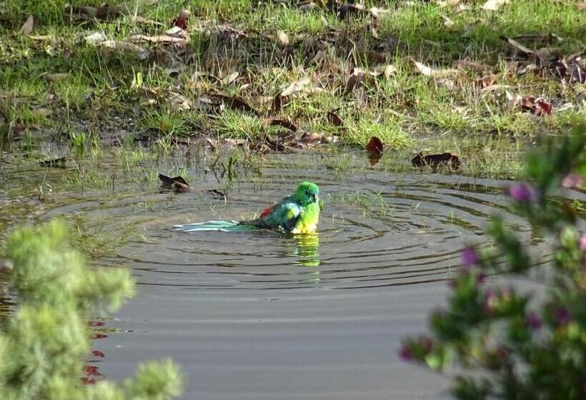 Austiny Bed And Breakfast Victor Harbor