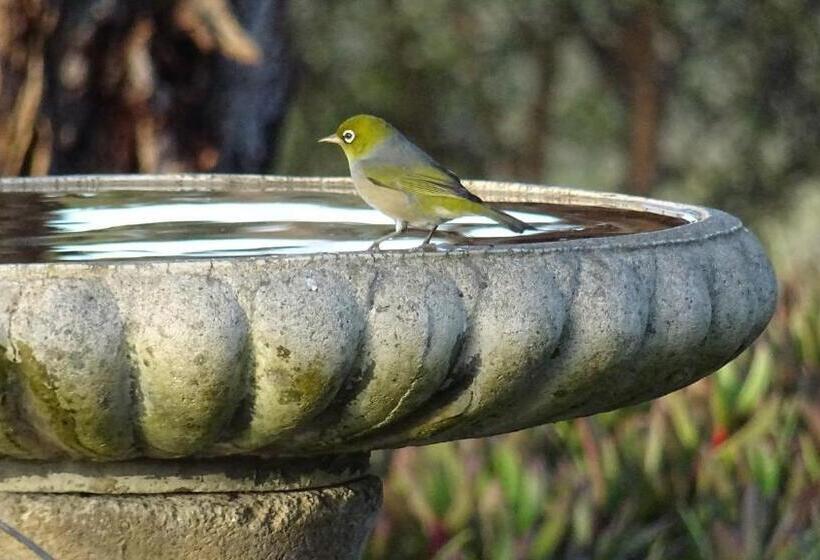 Austiny Bed And Breakfast Victor Harbor