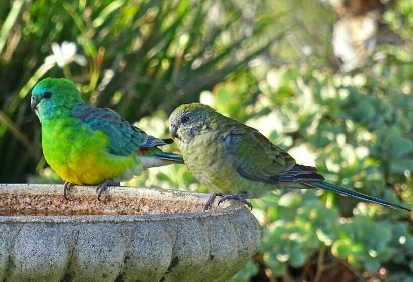 Austiny Bed And Breakfast Victor Harbor