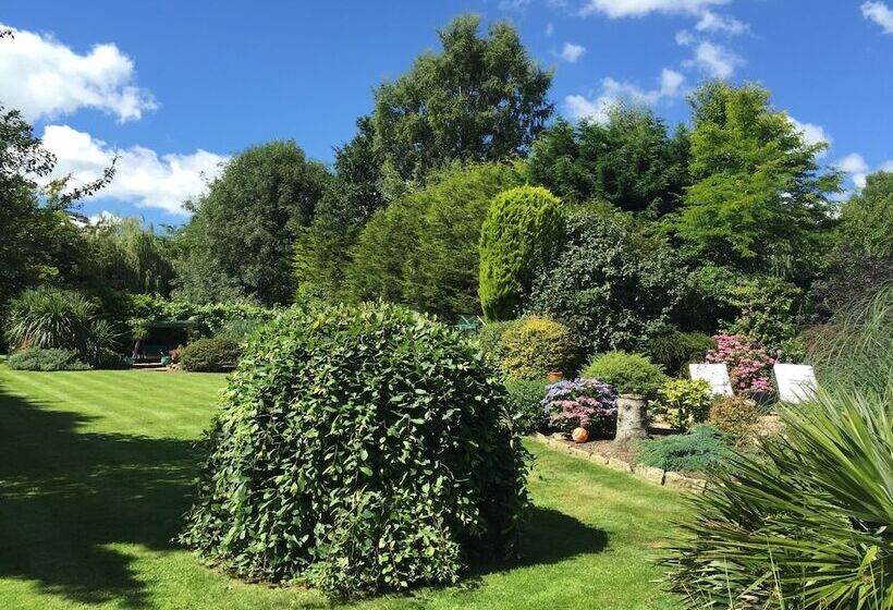 ベッドアンドブレックファースト Beechwood B And B