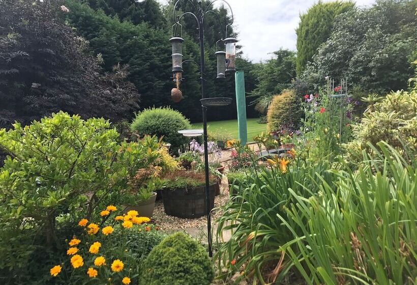 ベッドアンドブレックファースト Beechwood B And B