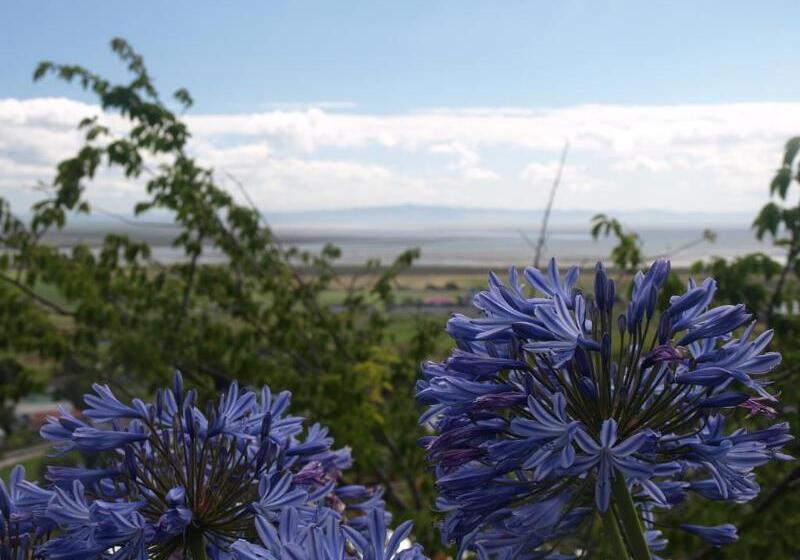 צימר Grafton Cottage & Chalets