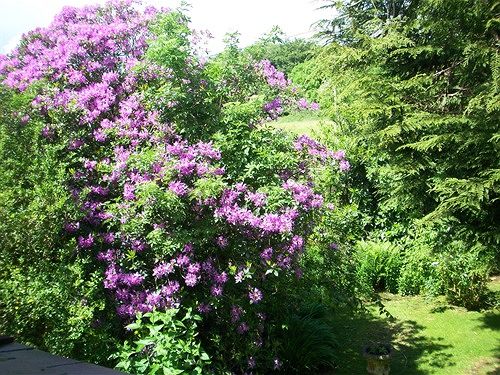 مبيت وإفطار Moor View House Bed&Breakfast