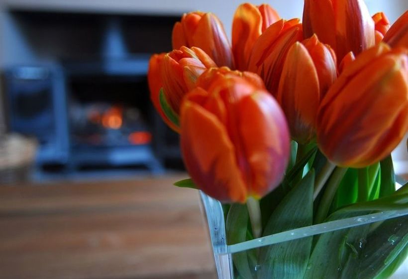 住宿加早餐 The Bijou