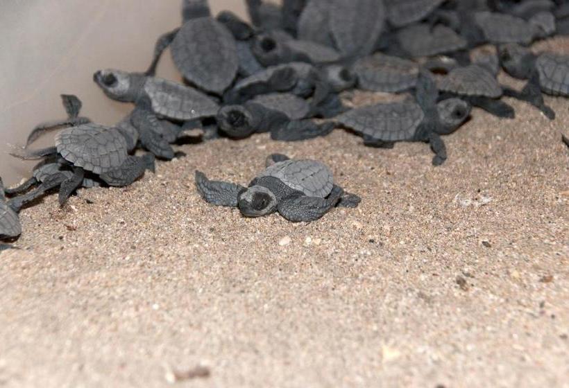 Delcanto Residences By Latour Hotel And Resorts