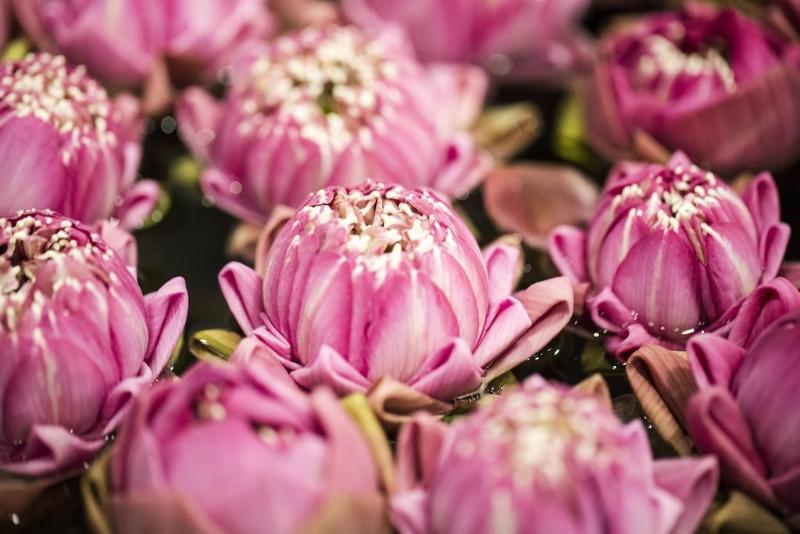 בית מלון כפרי Apsor Palace