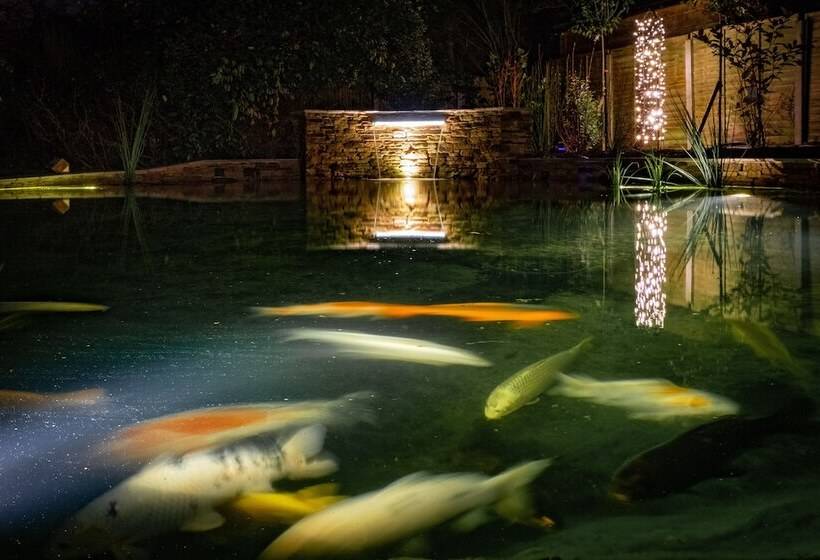 فندق Asperion Hillside