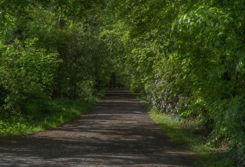 בית מלון כפרי Bankton House