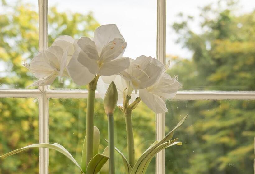 בית מלון כפרי Bankton House