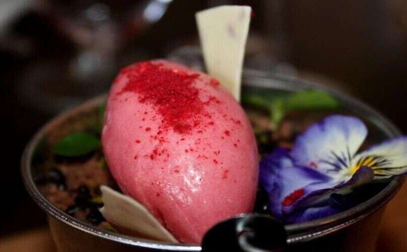 酒店 Churston Manor