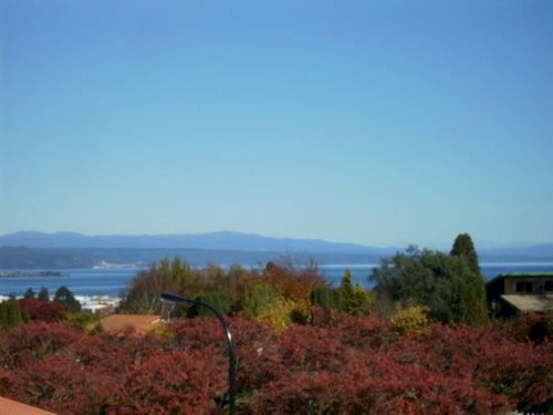 酒店 Falls Chateau