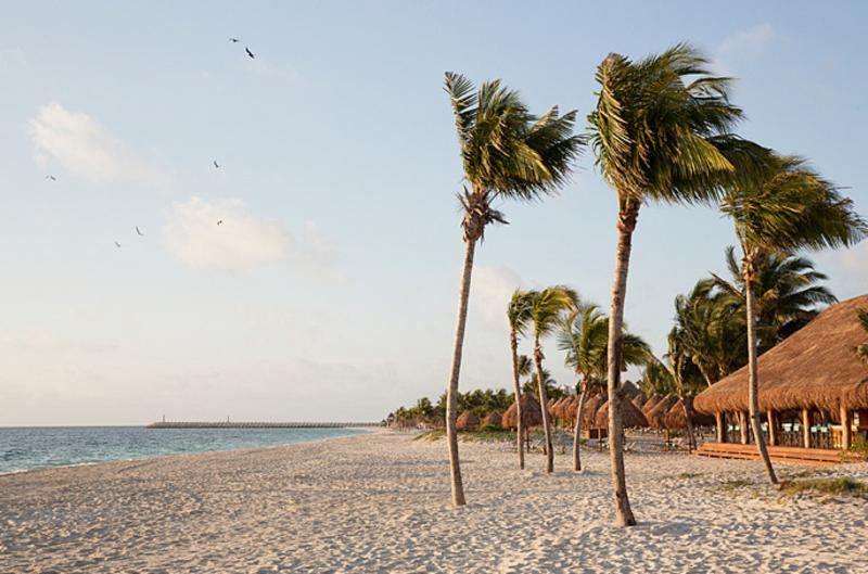 هتل Finest Playa Mujeres   All Inclusive