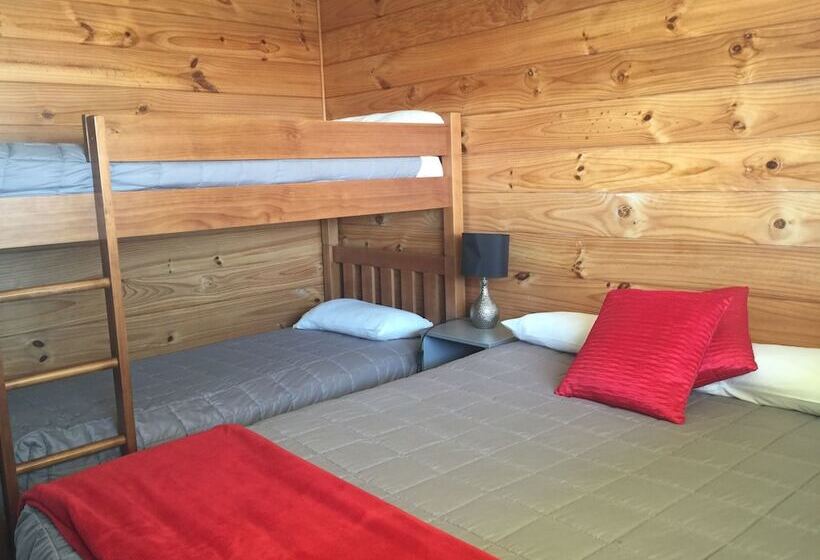 בית מלון כפרי Greymouth Seaside Top 10 Holiday Park