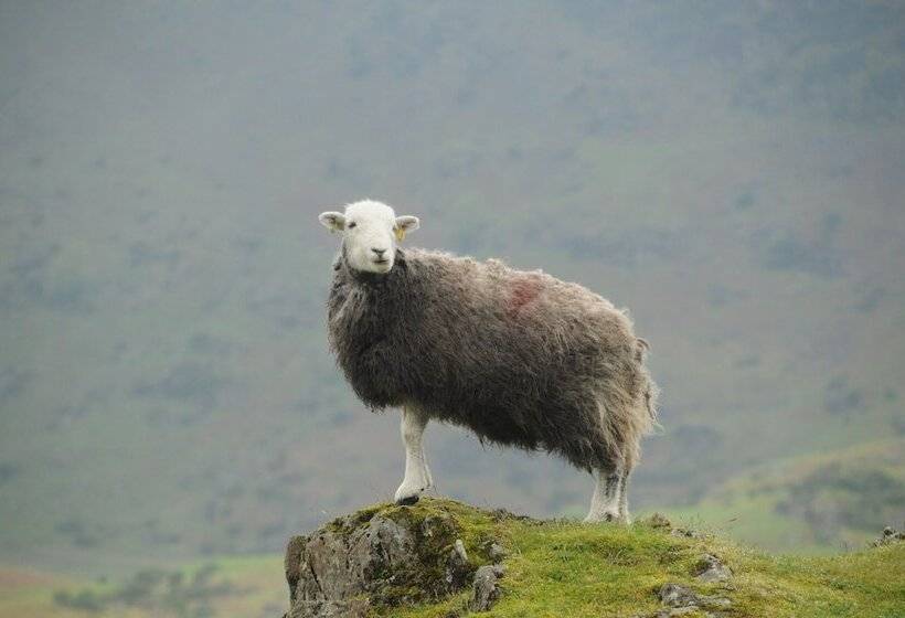 Отель Haisthorpe Guest House