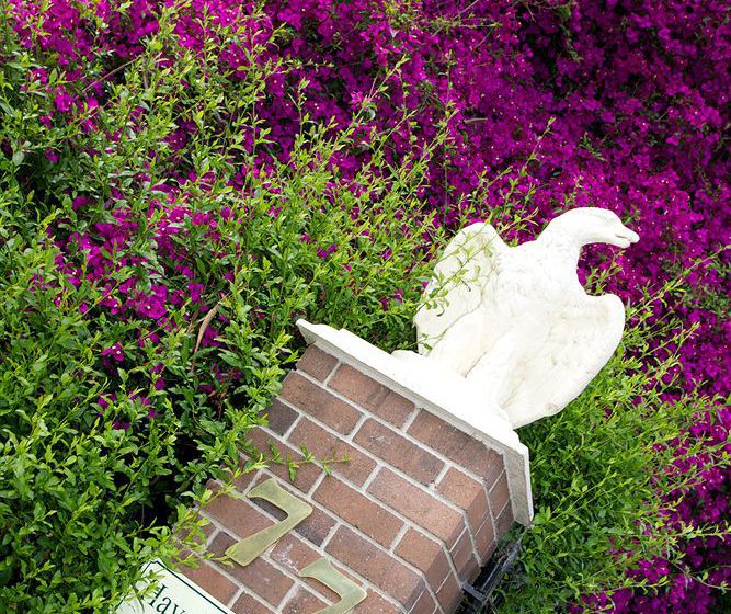 Отель Havelock House