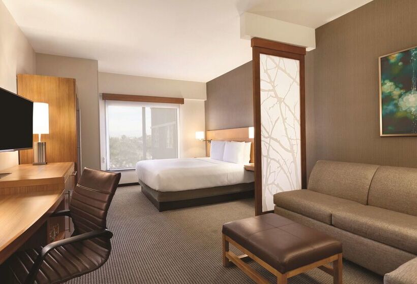 Отель Hyatt Place At Anaheim Resort/convention Center