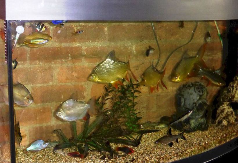 호텔 The Old Station House