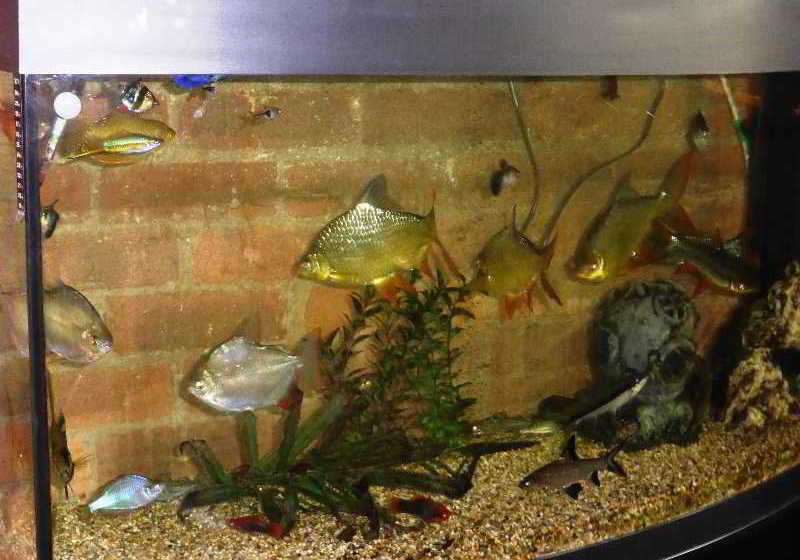 호텔 The Old Station House