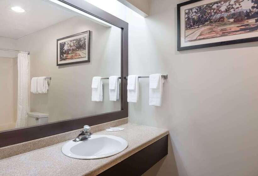 فندق Knights Inn Jacksonville