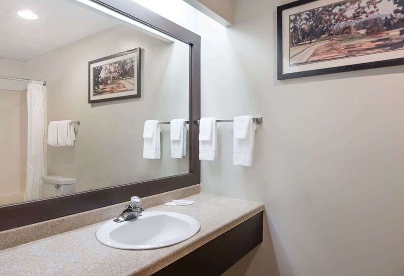 فندق Knights Inn Jacksonville