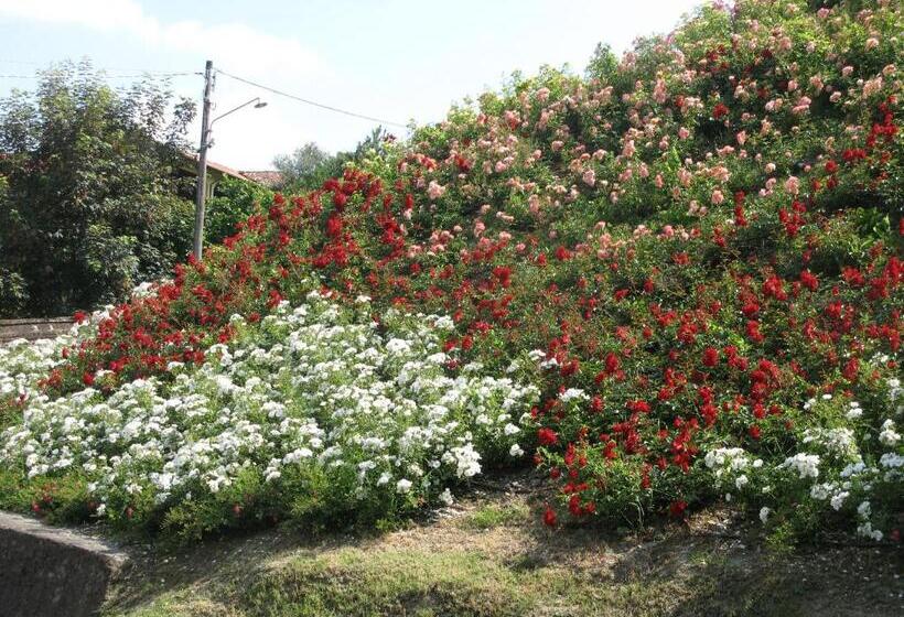 ホテル Locanda Dell'arte